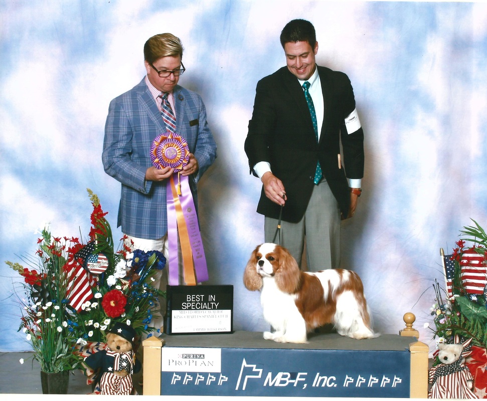 Picture Best in Specialty Show
